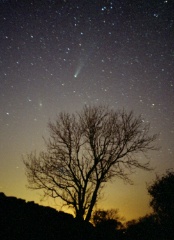 20020404 Comet Ikeya-Zang